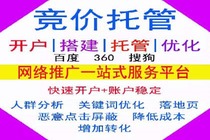 专业SEM推广托管，案例见证效果